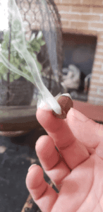 backflow incense cones, backflow incense cones holder, backflow cone incense